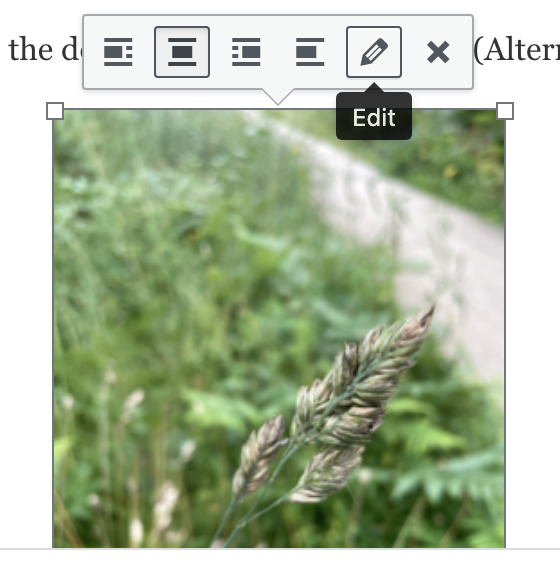 You can edit the alt text of an image that has already been uploaded and added to a page just by selecting it and then choosing the edit icon.