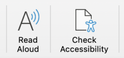 Microsoft Word Accessibility Review Buttons
